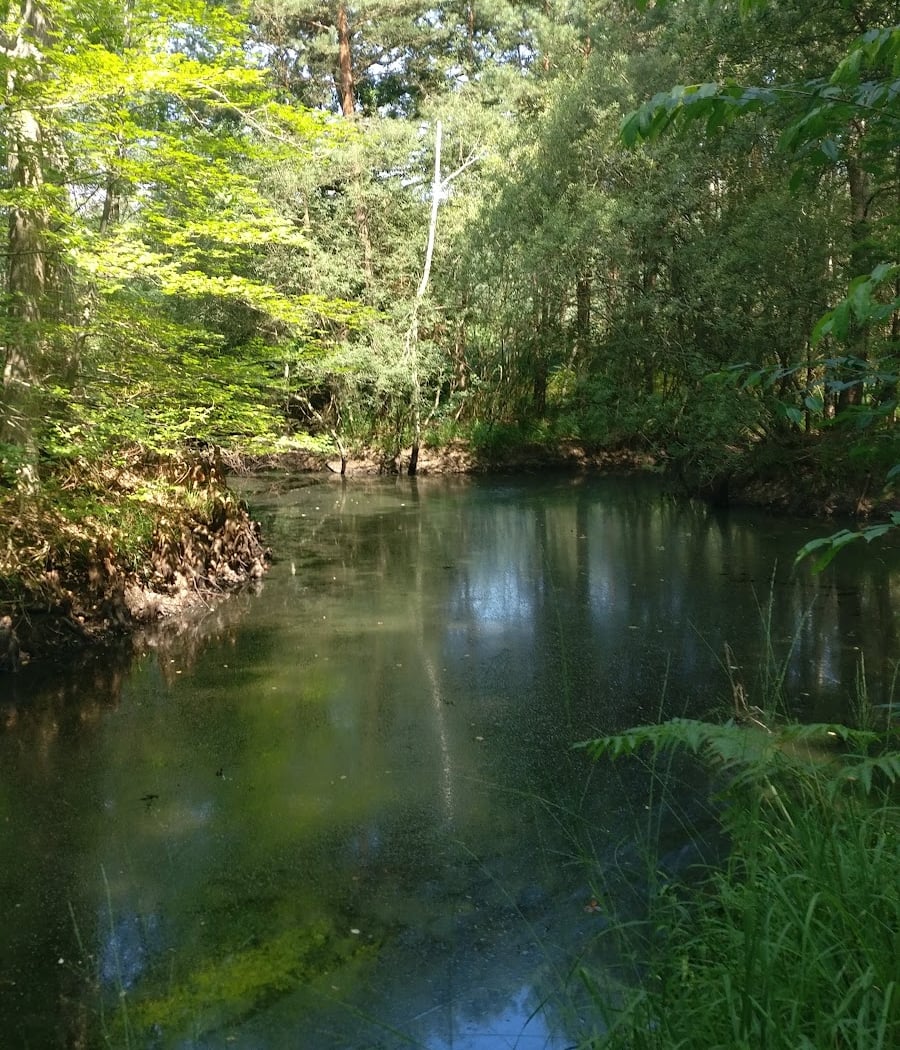 Mare aux Cerfs 3